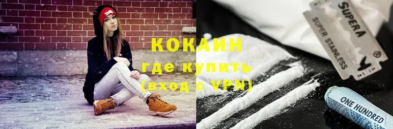 COCAIN FishScale Кашин